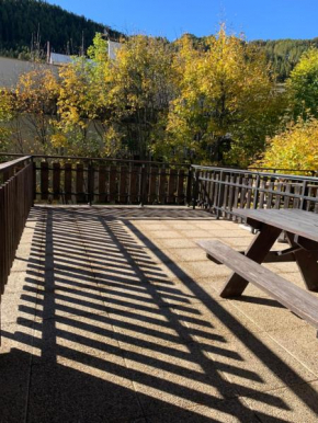 Studio Avec belle terrasse proche des pistes